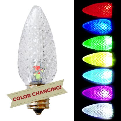 Holidynamics Dynamic RGB faceted bulb